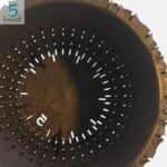 ZARU鉢で植物をもっと元気に育てよう