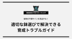 植物の不調サインを見逃すな！適切な鉢選びで解決できる育成トラブルガイド